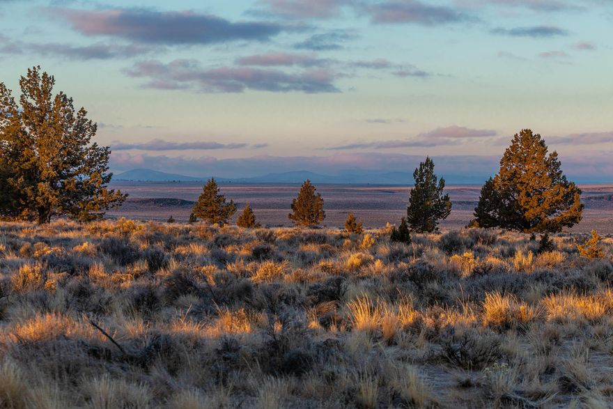 GORGEOUS THREE SISTERS MOUNTAIN VIEWS are just one of the amazing features of spectacular Juniper Rim Ranch. TWO commanding high Rim Rock plateaus with panoramic views are perfect for home sites. 640 pristine acres easily accessed & surrounded by endless miles of BLM land on all sides. 3600 sq.ft. shop housing a 2500 gallon cistern is plumbed for 2.5 baths and a 6600 watt generator provides power. RICH HISTORY connected to the original 1864 homesteaders before Hwy 20 and the
abandonment of Imperial City OR to the east. A 150 yr old rock wall traverses the land, nearby to a stopover point for the 1860 -1870 Prineville-Burns Stagecoach Line. An original split rail fence defines the beginning of the property, enhanced by perimeter and cross fencing. There are also a 2200 foot-long airstrip for light aircraft and a
grass helipad. Wildlife abounds - Melvin, a great horned owl is a local resident & a seasonal herd of Antelope roam freely - providing 4 LOP Antelope Hunting Tags.