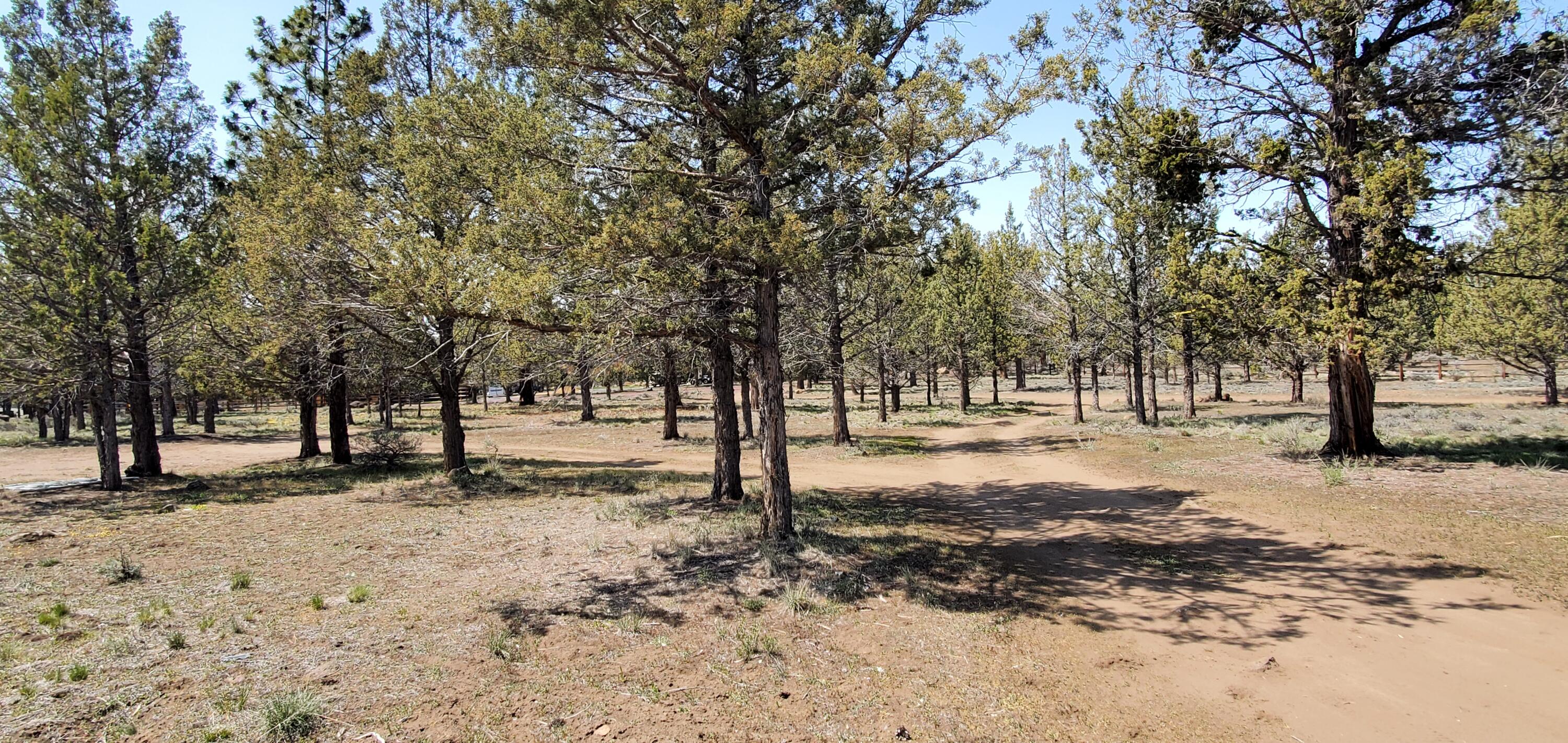 Panoramic View Est - Land