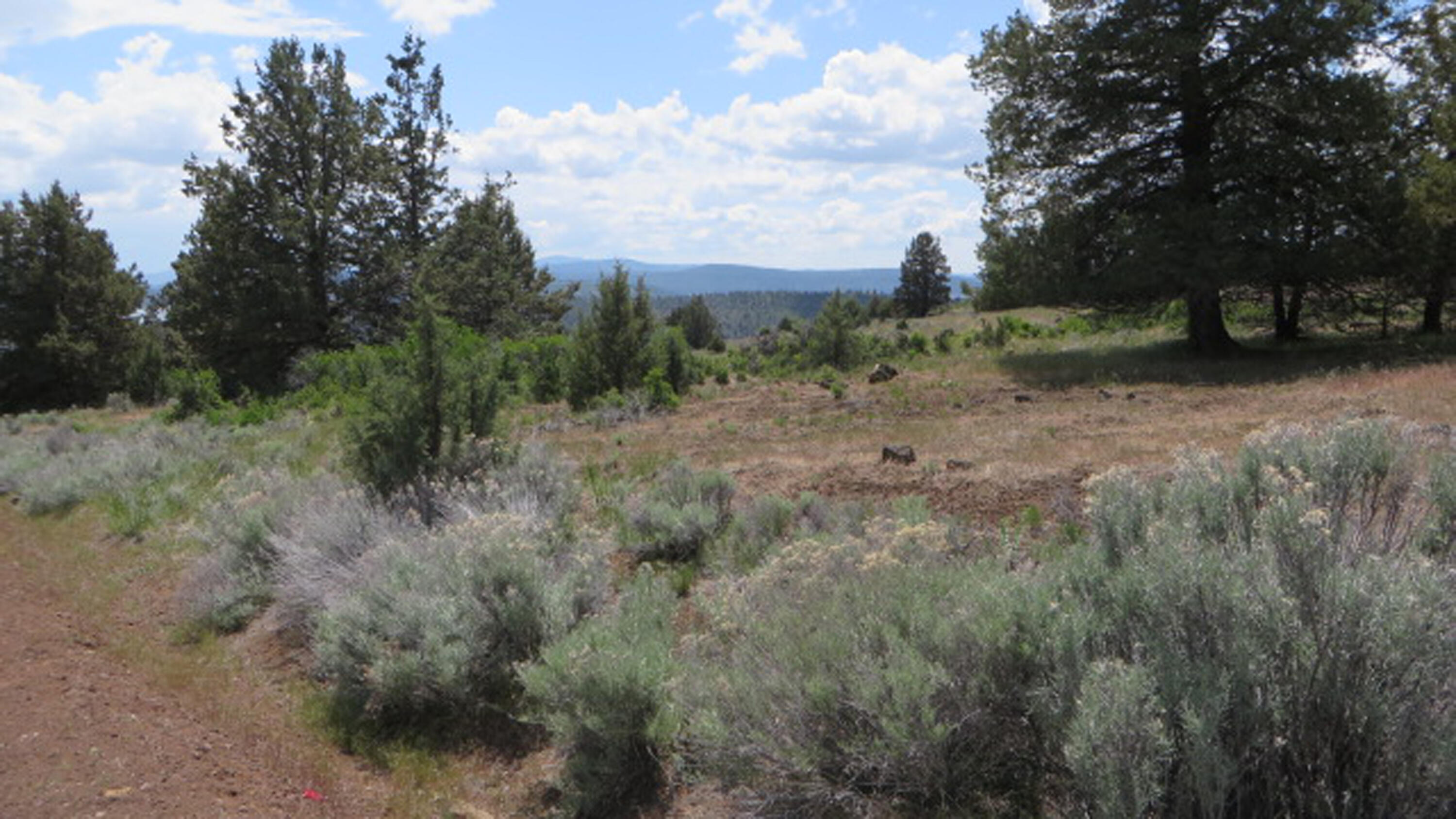 Paradise Hill - Land