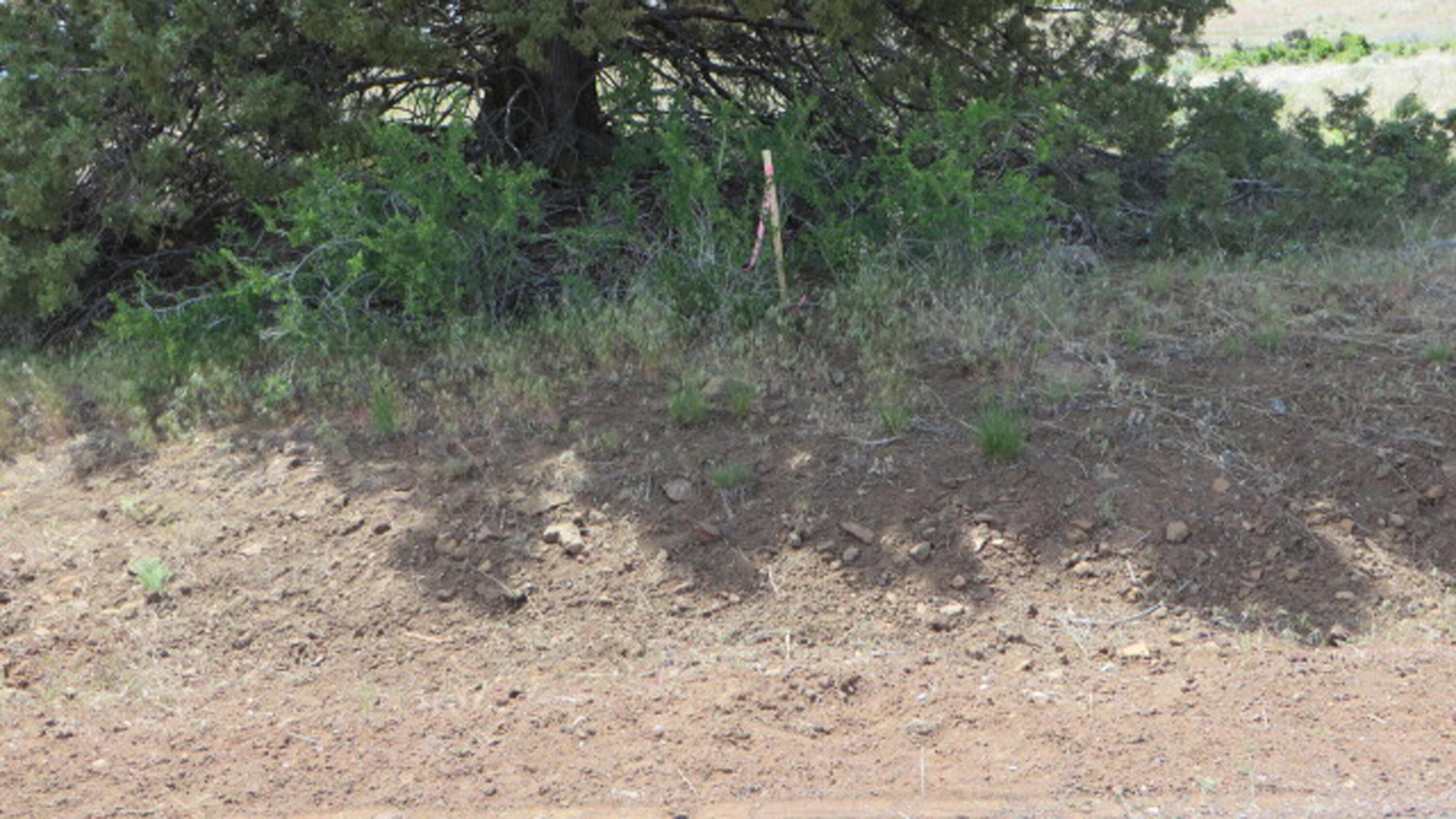 Paradise Hill - Land