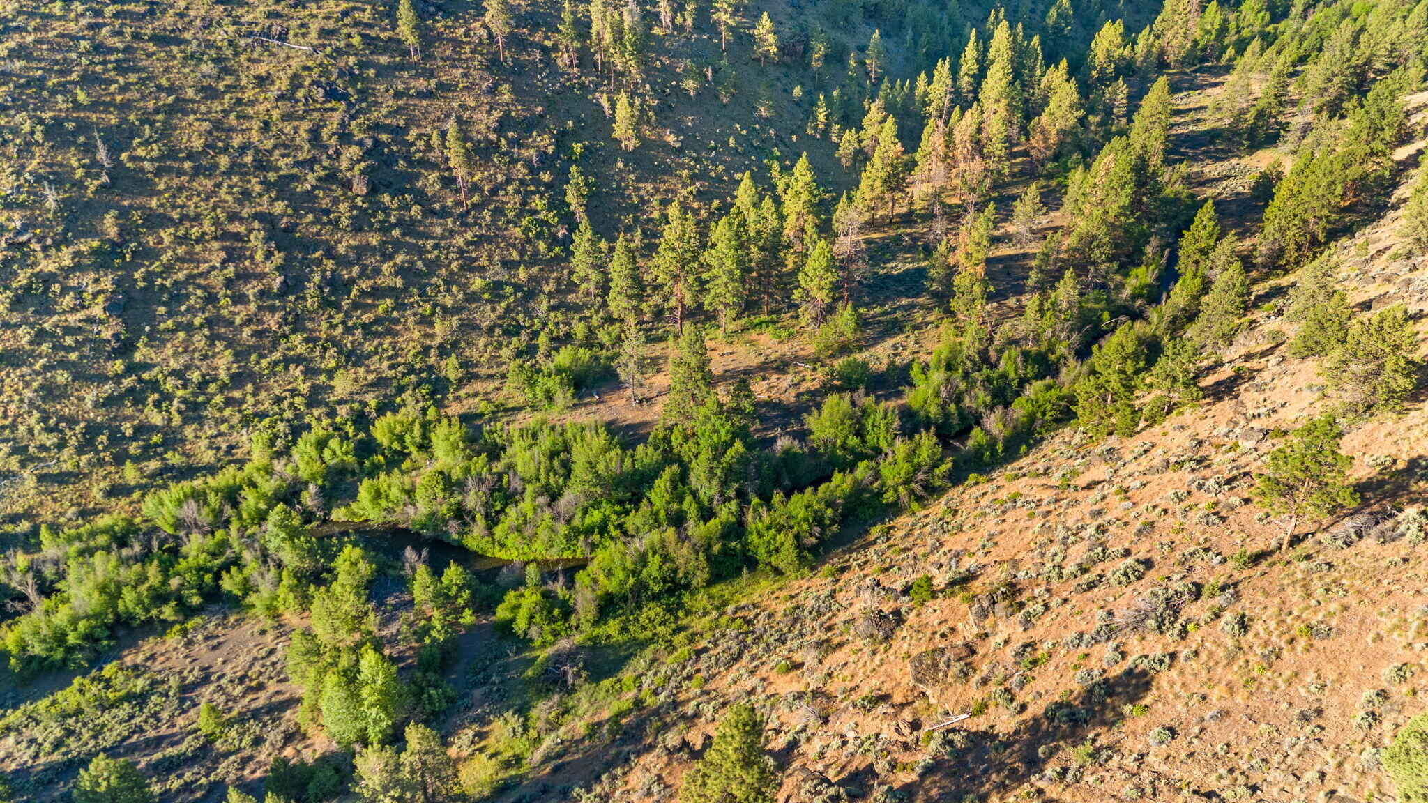Squaw Creek Canyon - Residential