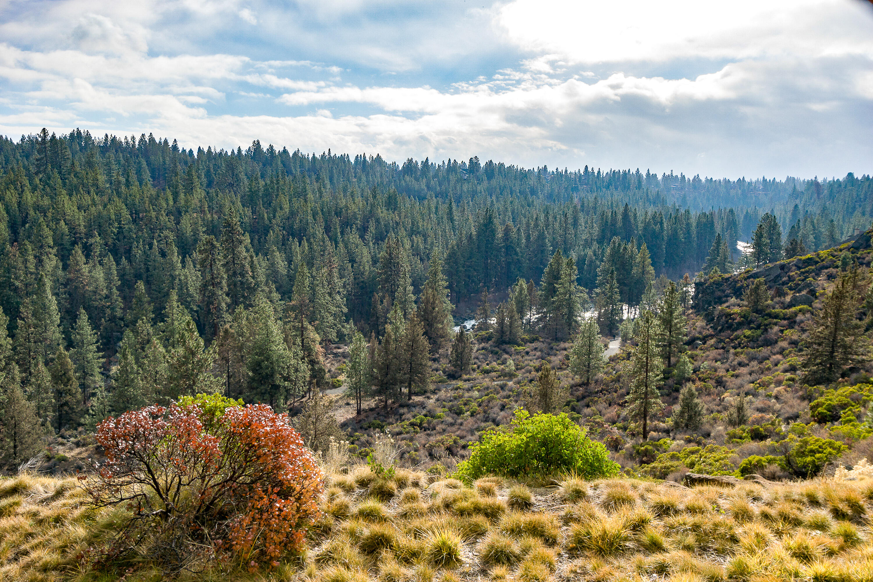 Mt Bachelor Village - Residential