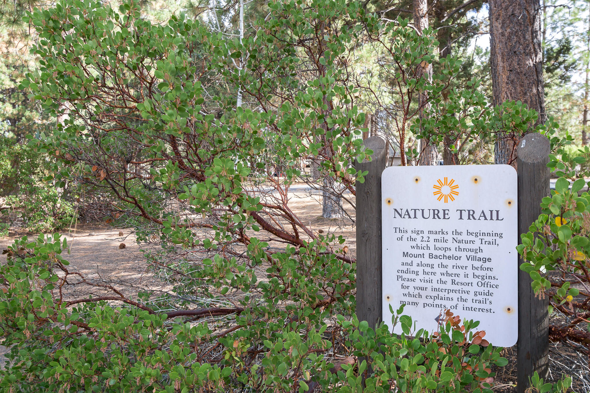 Mt Bachelor Village - Residential