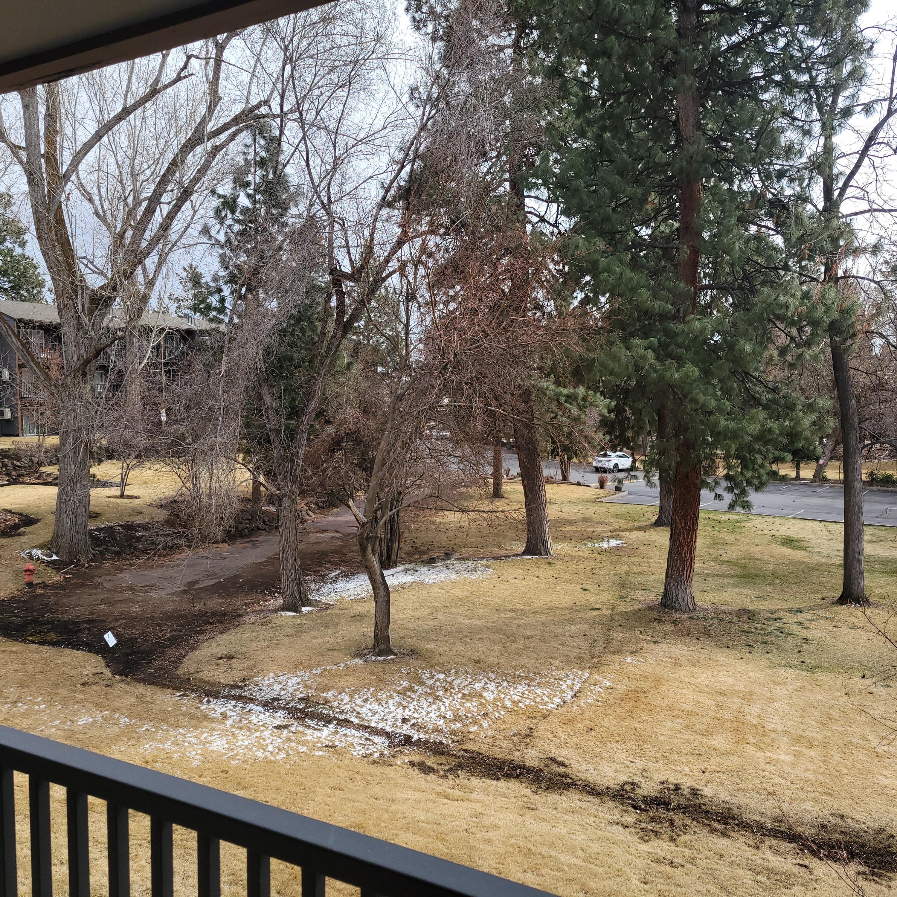 Pioneer Park Condominium - Residential