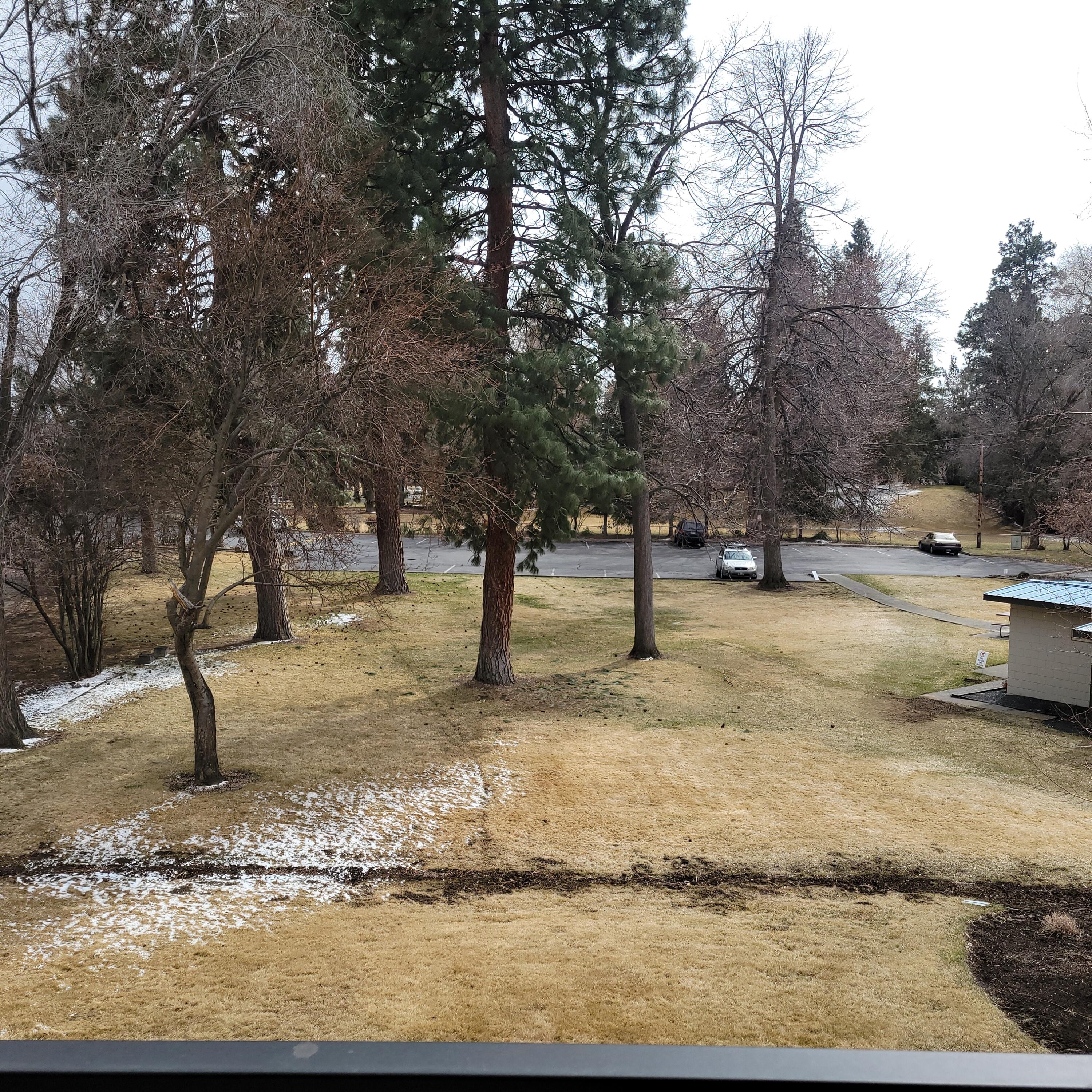 Pioneer Park Condominium - Residential