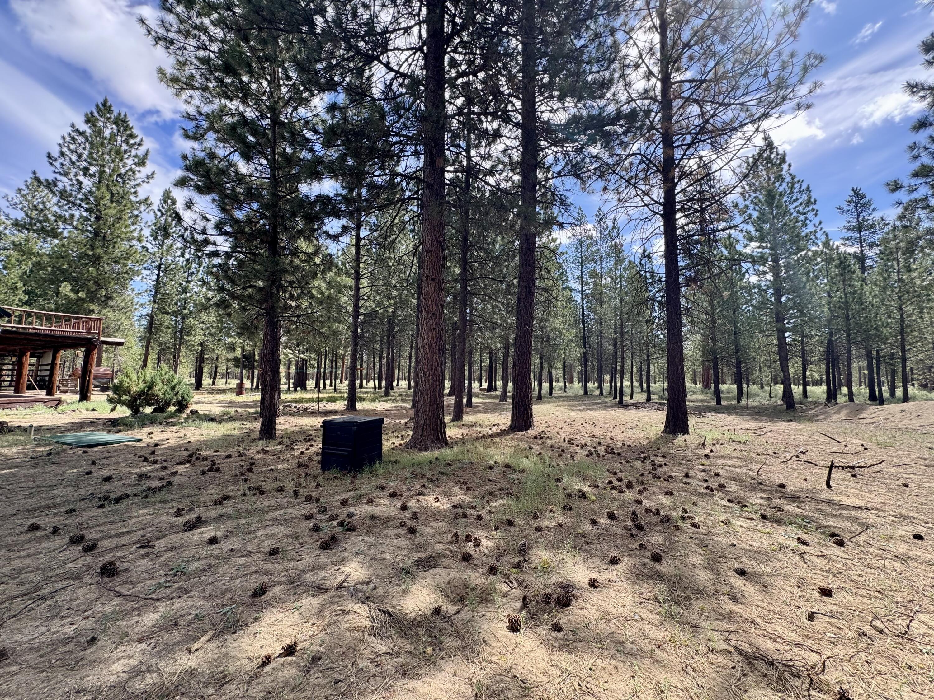 Ponderosa Pines - Residential