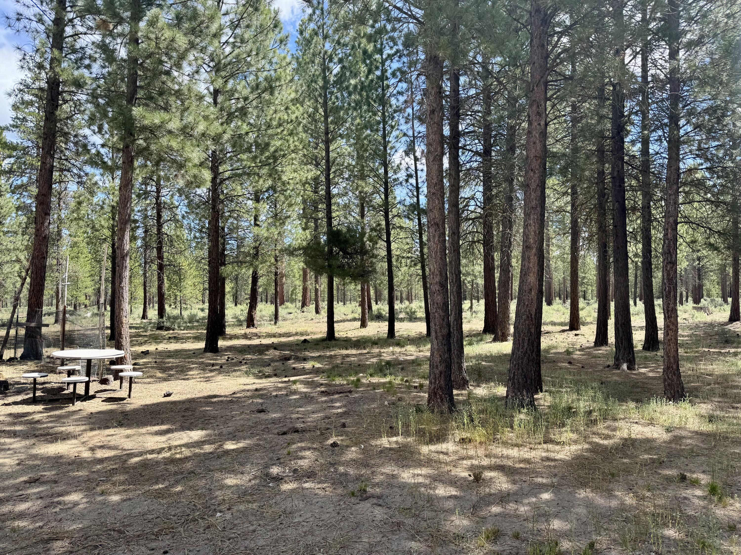 Ponderosa Pines - Residential