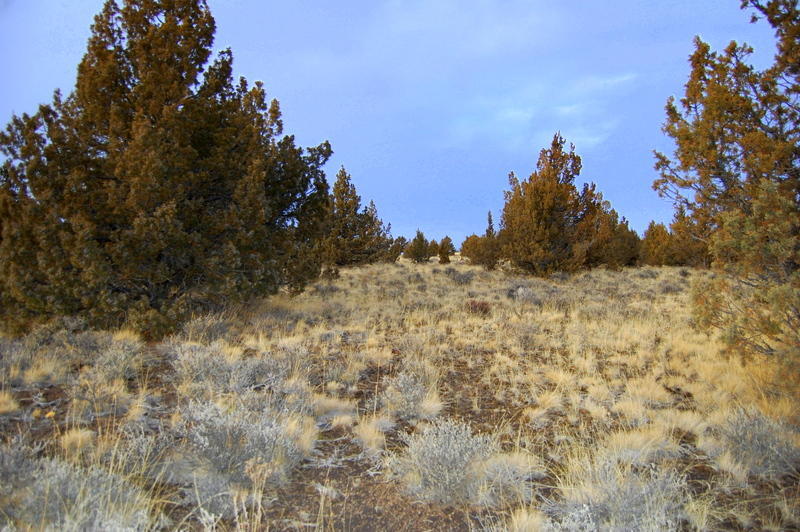 Ochoco Land + Livest - Land