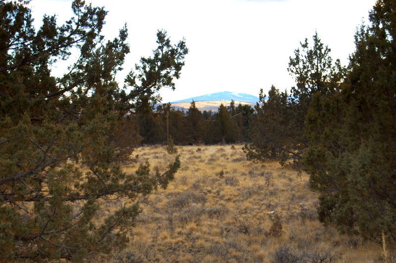 Ochoco Land + Livest - Land