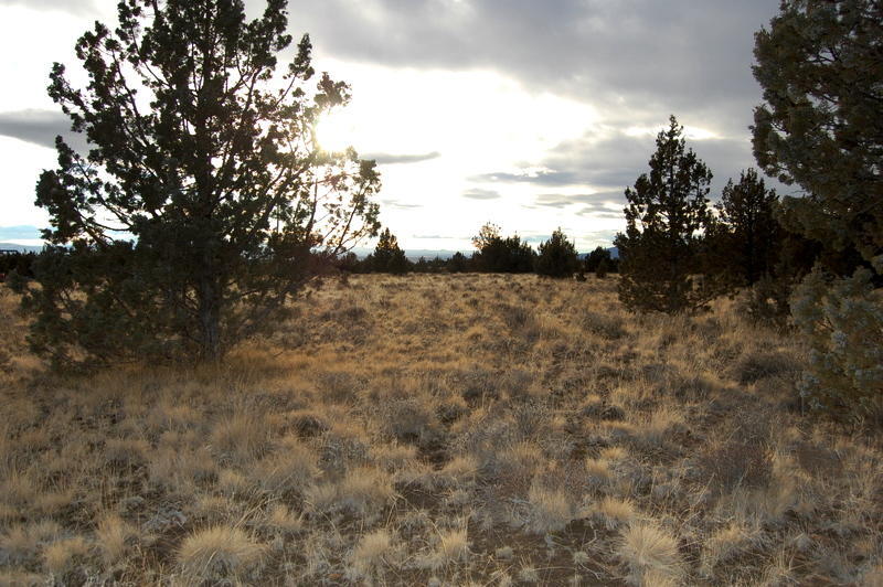 Ochoco Land + Livest - Land