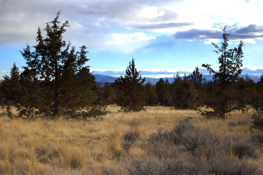 Beautiful 5-acre parcel in Ochoco Land & Livestock with power at the road! Enjoy peaceful, elevated living in Central Oregon's high desert with sweeping territorial views and a mix of native junipers and sagebrush. This well-treed yet open property offers an ideal setting to build your dream home, barn, or shop—perfect for a horse property or weekend retreat. Easily accessible and just a short drive to downtown Prineville, yet feels worlds away with its serene, country setting. Close to Prineville Reservoir for outdoor recreation and endless sunshine. Adjacent 5-acre parcel also available—see MLS 220205706 for details.