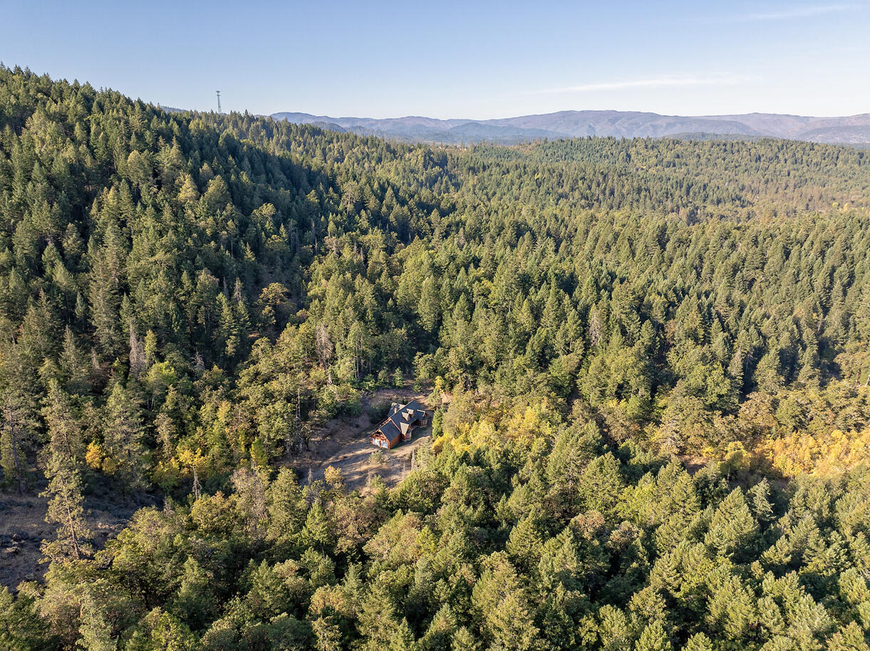 1193 Greenview Drive