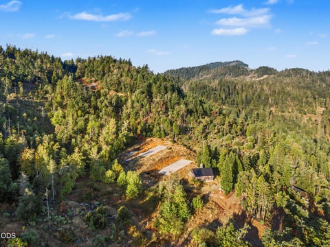 Photo of 300 Shanks Creek Road, Wolf Creek, OR 97497 (MLS # 220228754)