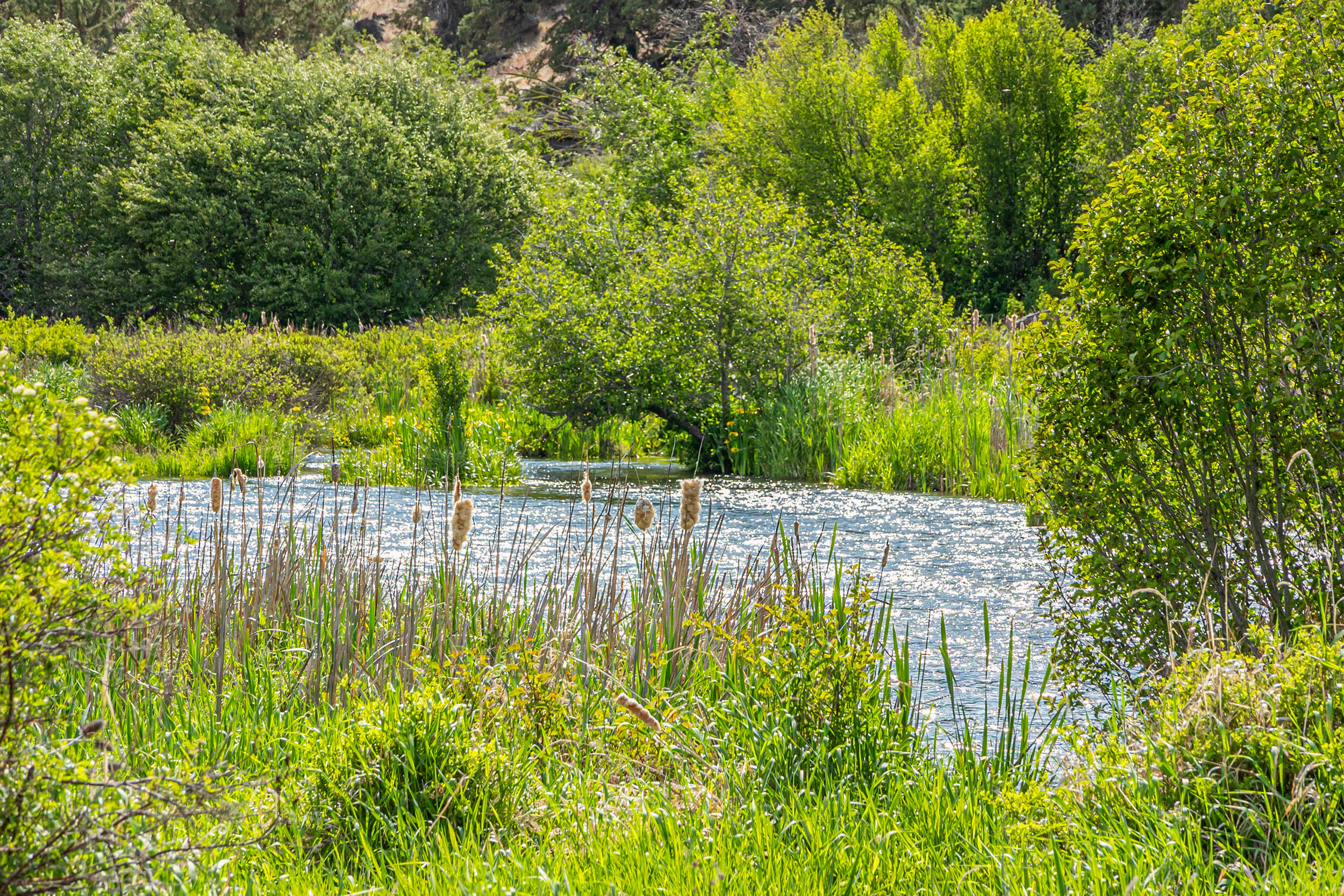 Odin Falls Ranch - Residential