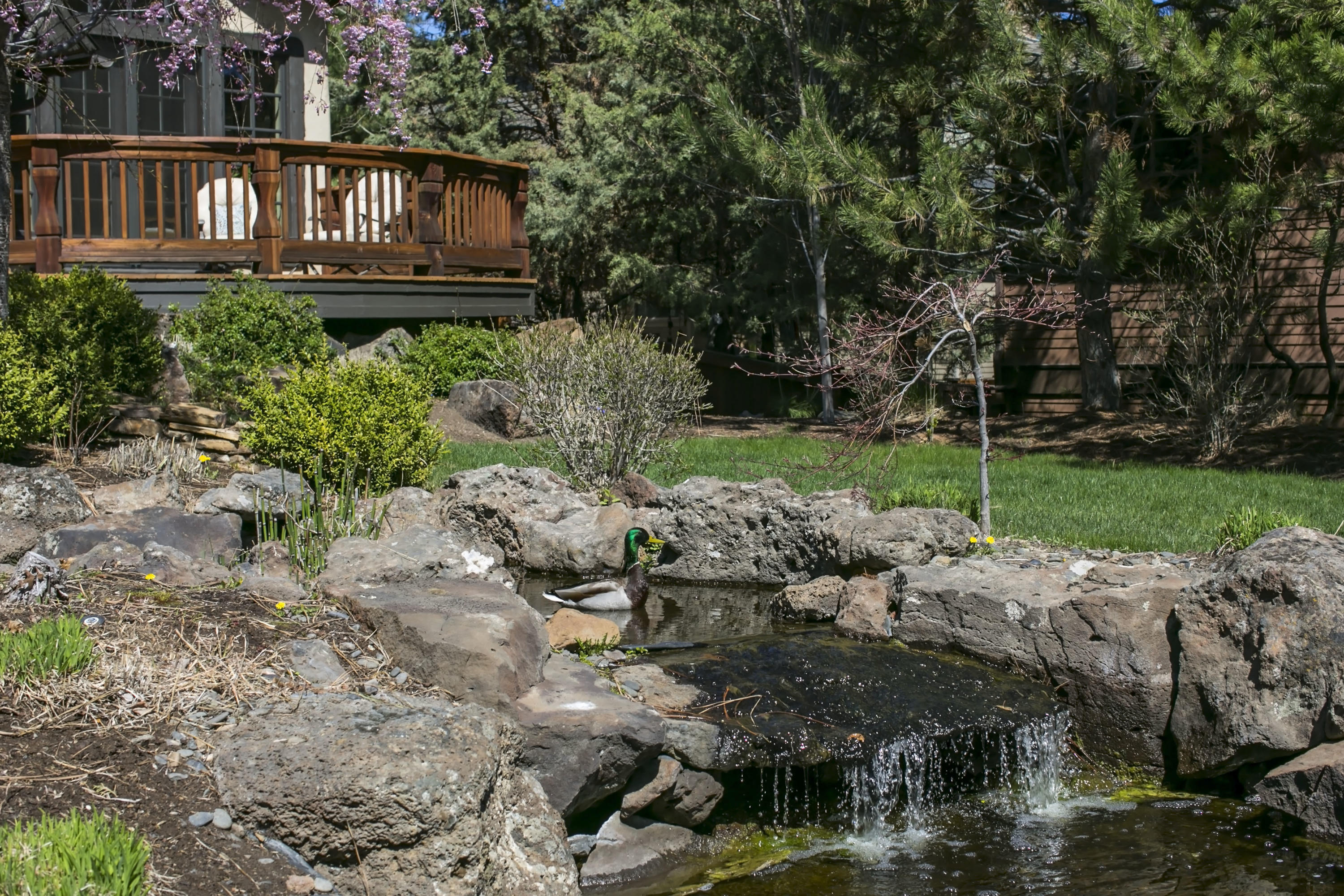 Awbrey Park - Residential