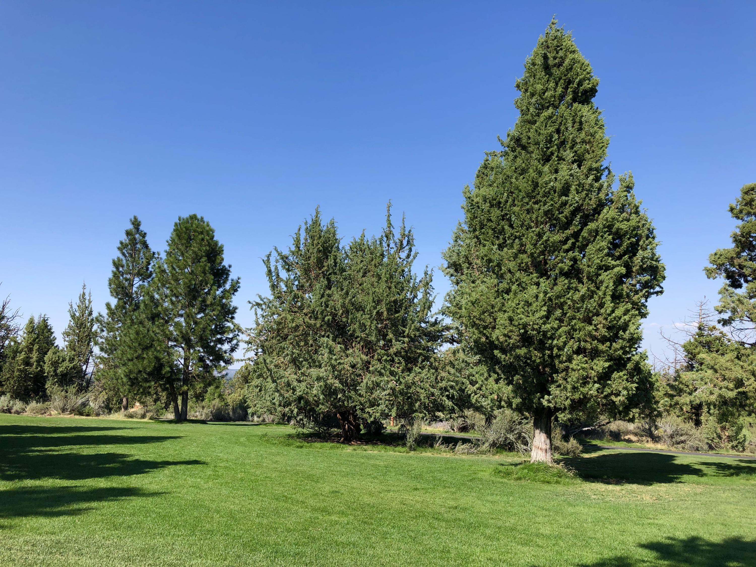 Awbrey Park - Residential