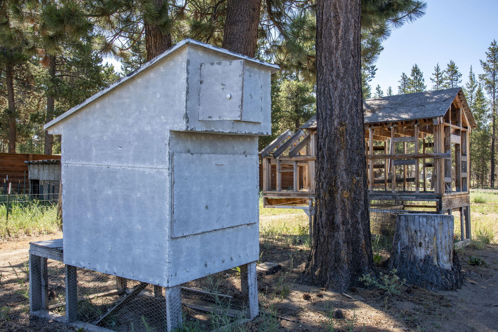 Terra De Oro Est - Residential