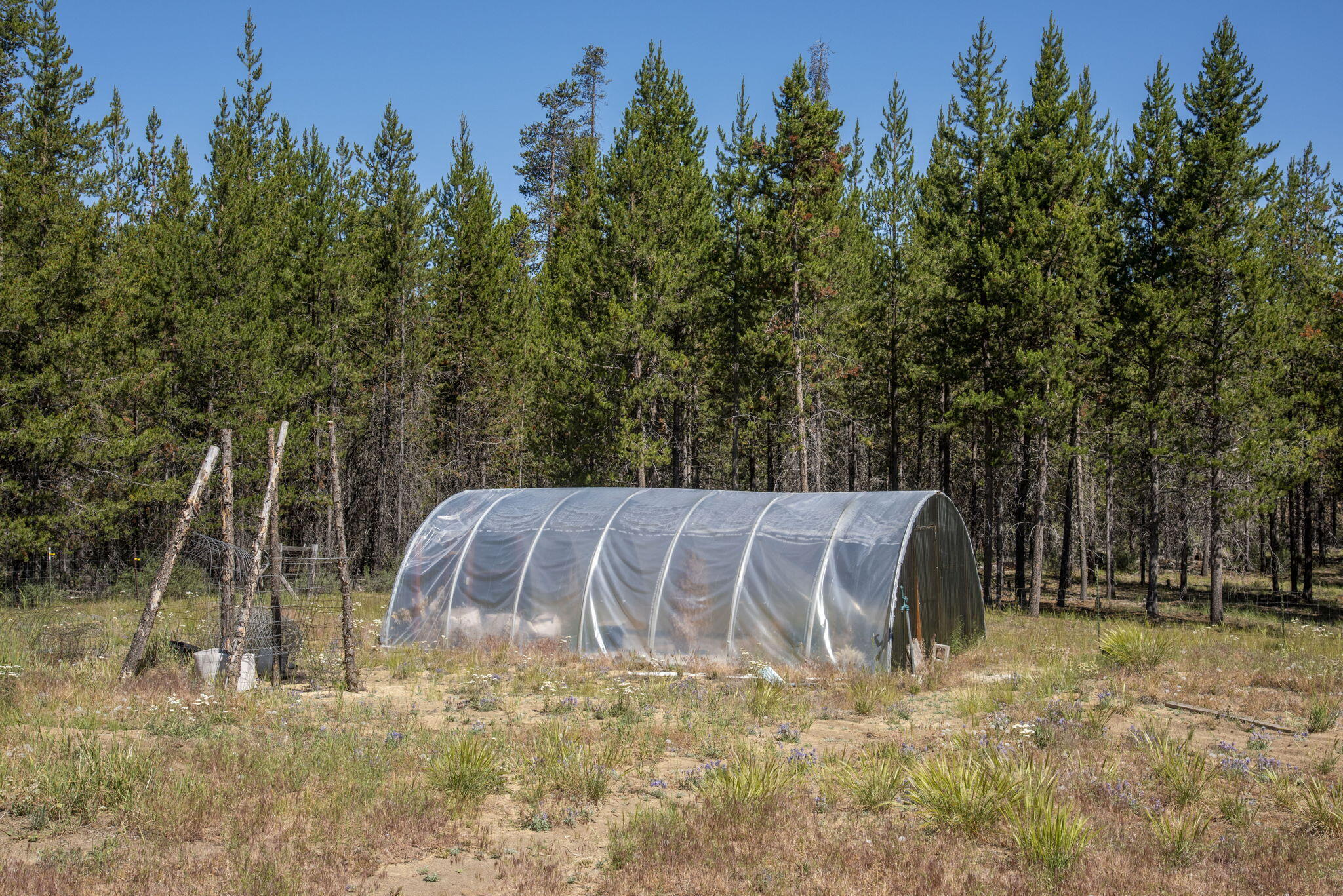 Terra De Oro Est - Residential