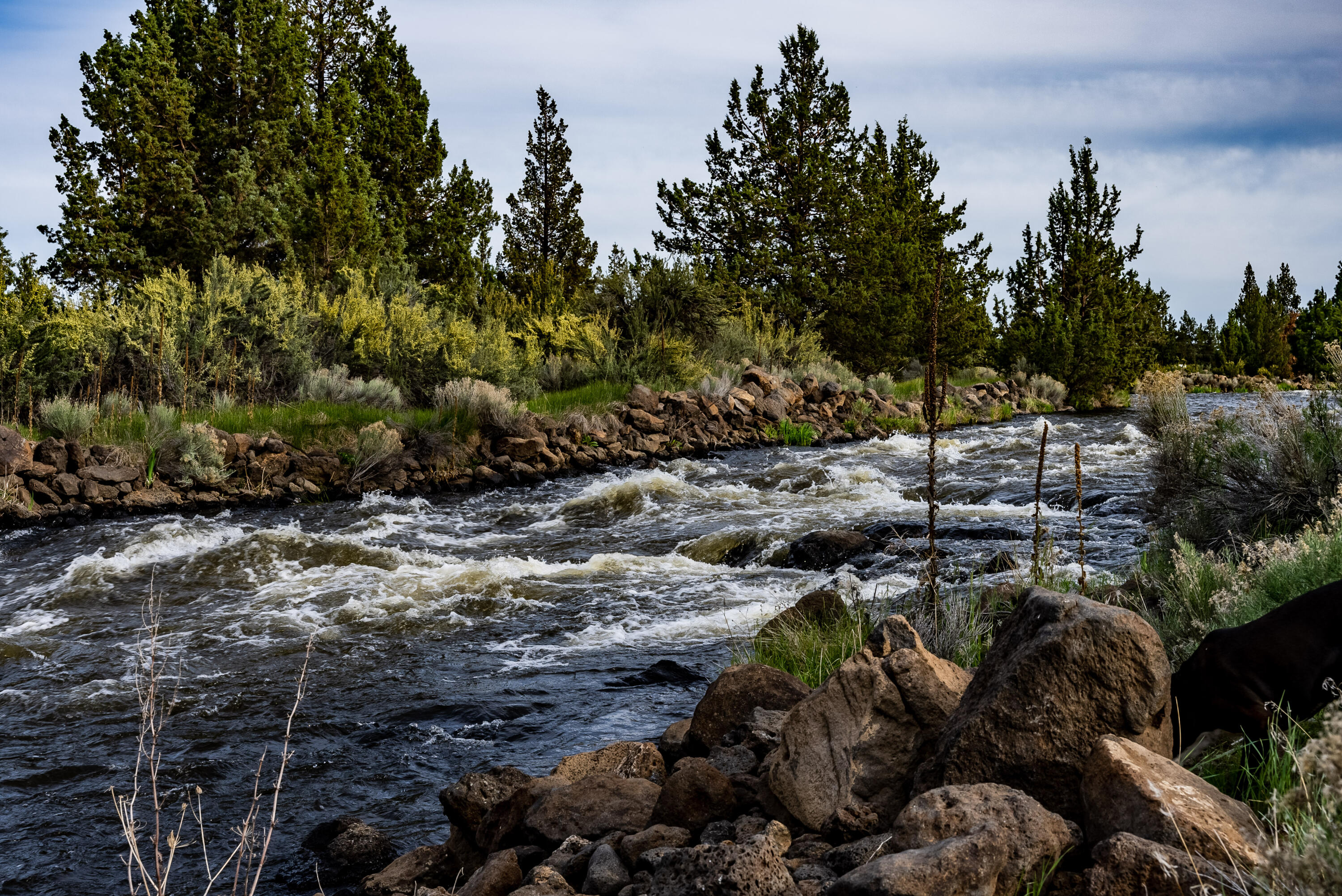 Whispering Pines - Residential