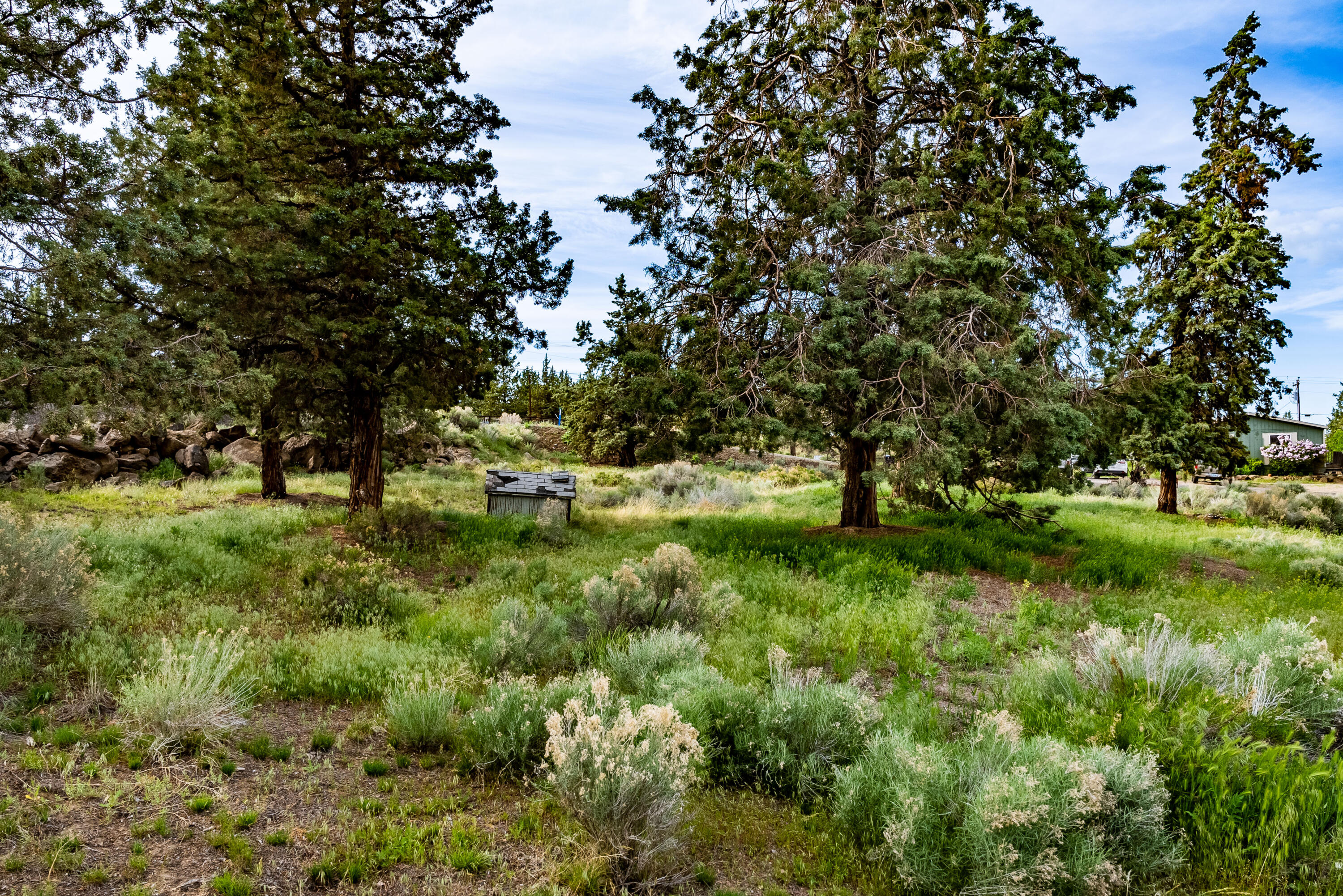 Whispering Pines - Residential