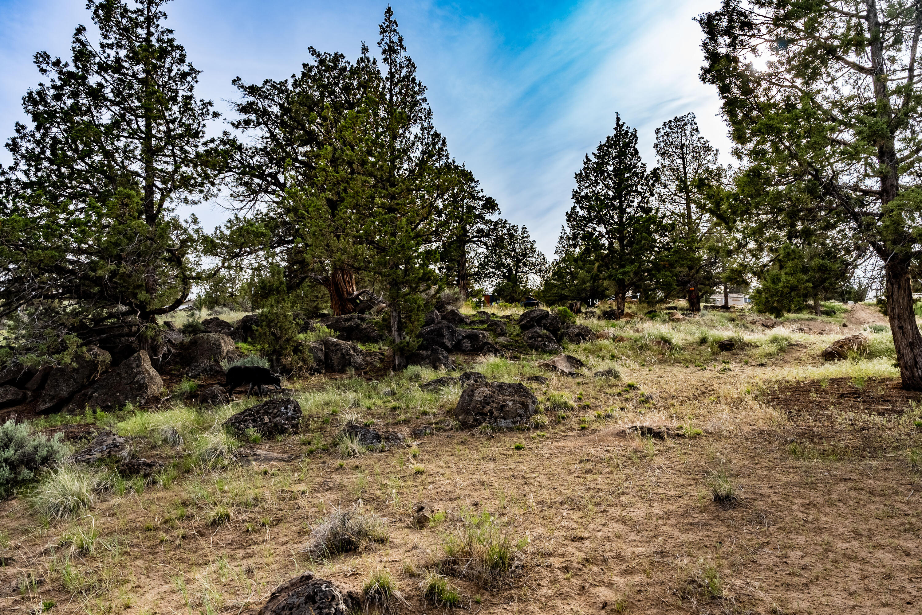 Whispering Pines - Residential