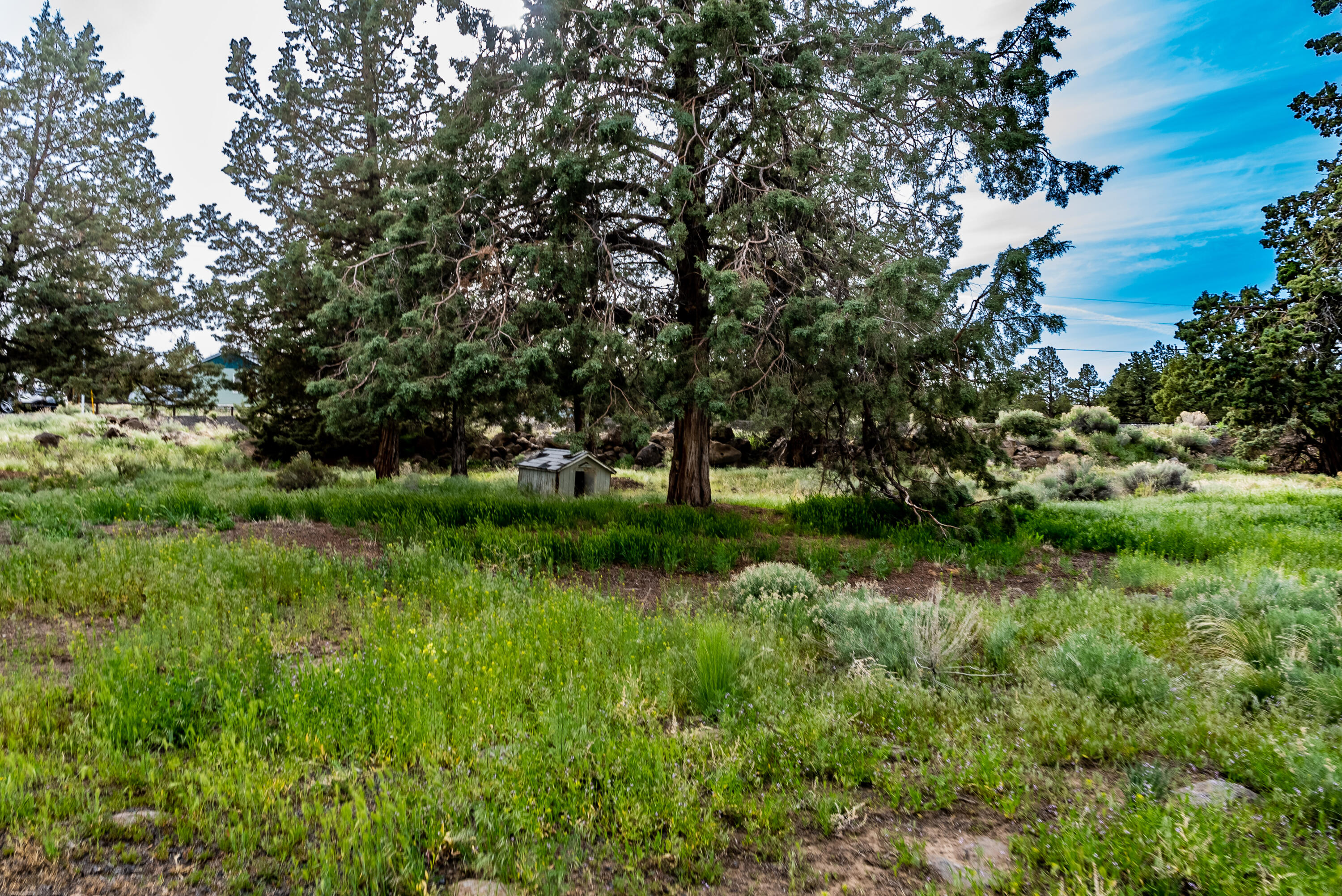 Whispering Pines - Residential