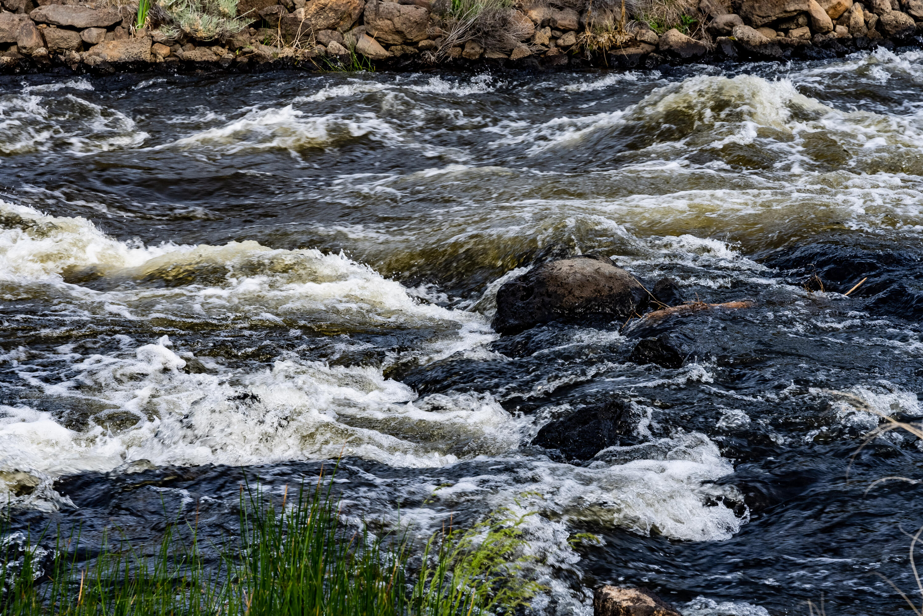 Whispering Pines - Residential