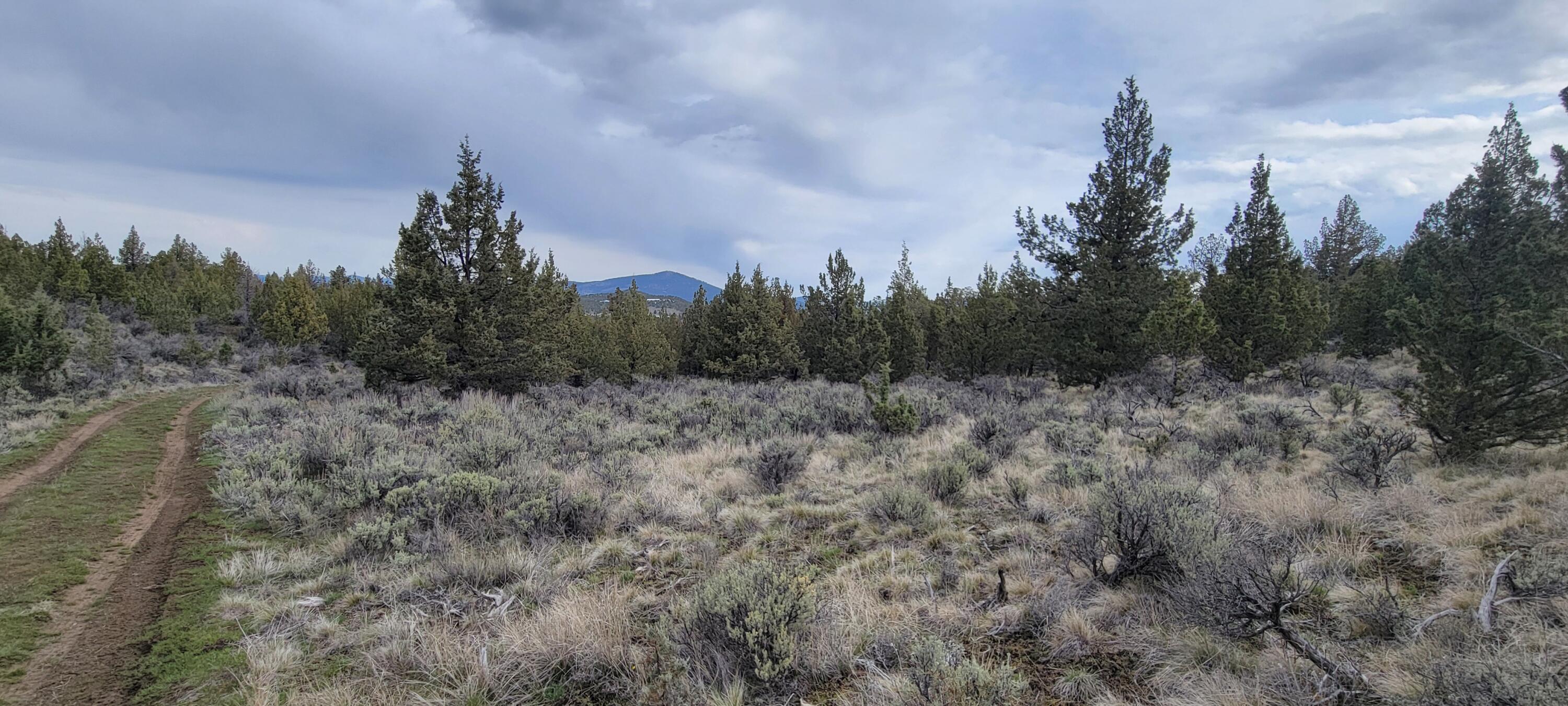 Riverside Ranch - Land