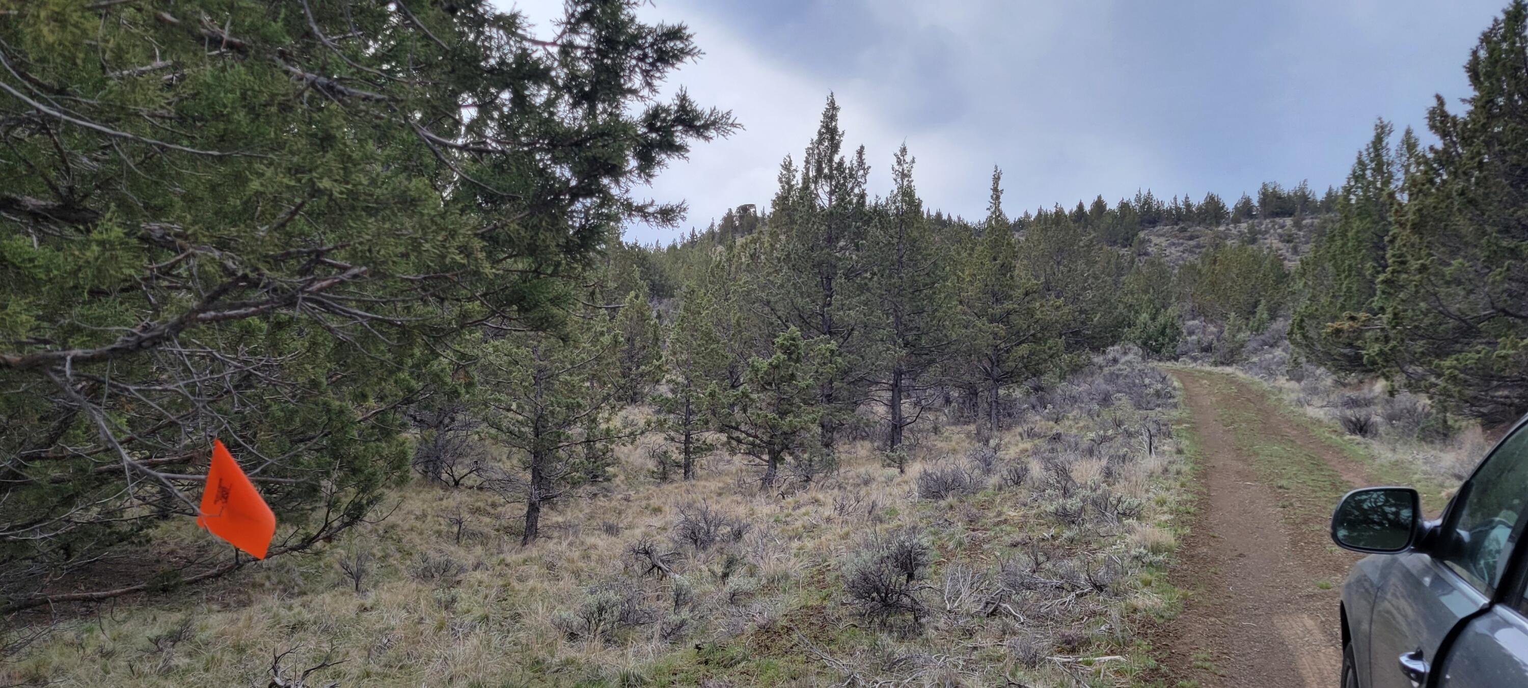 Riverside Ranch - Land