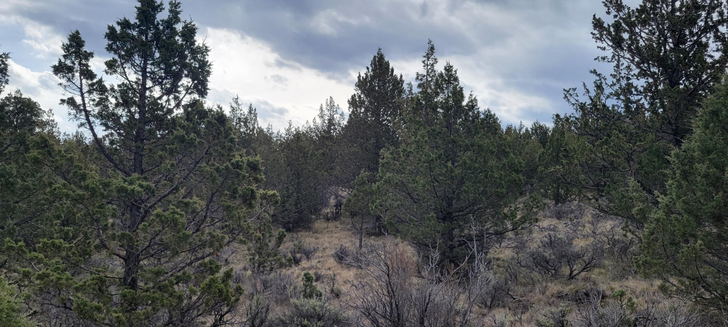 Riverside Ranch - Land