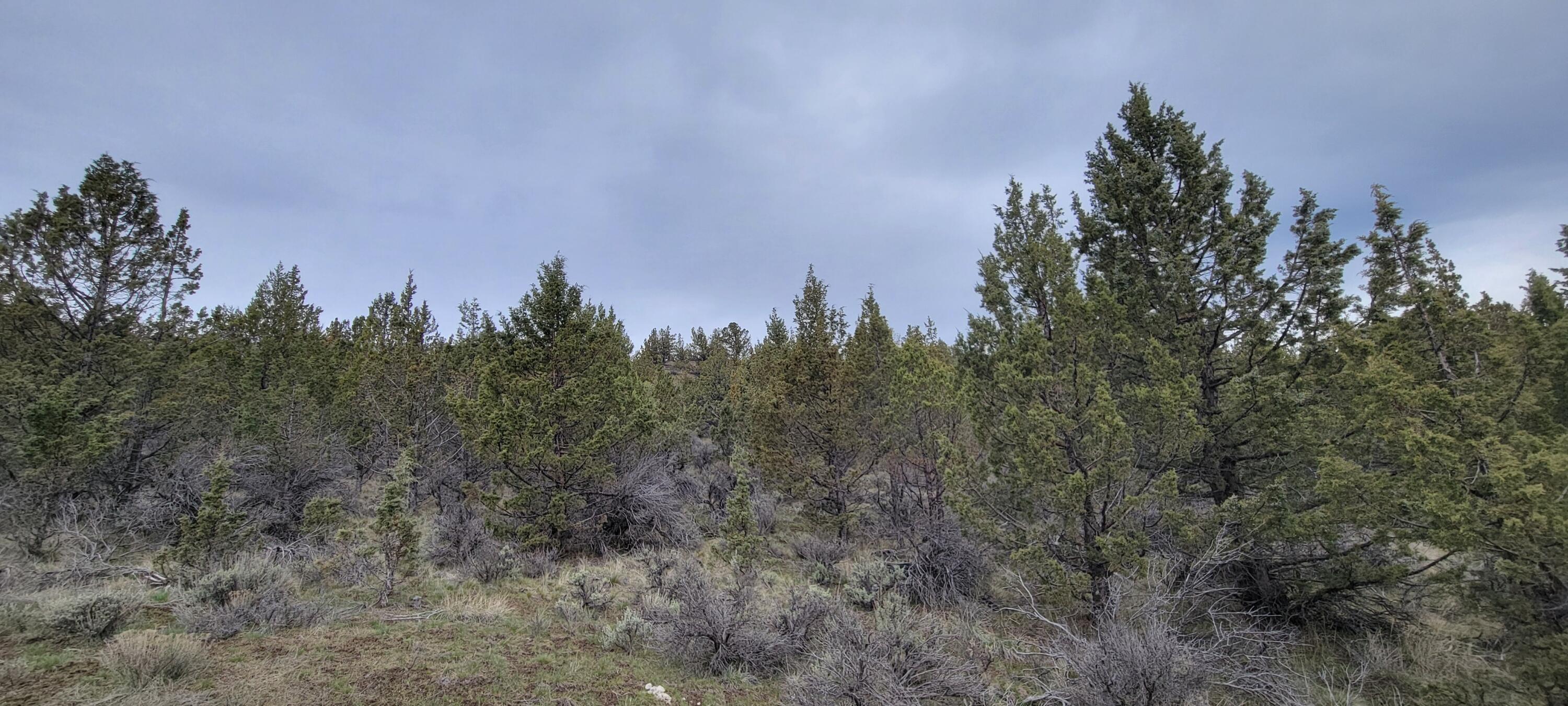 Riverside Ranch - Land