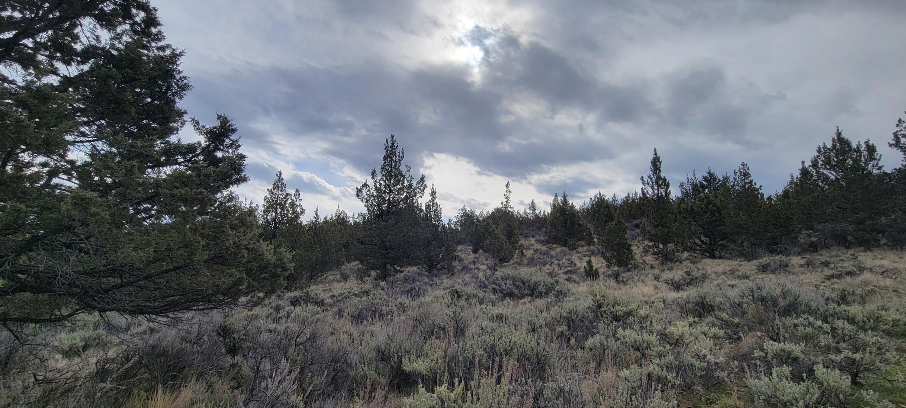 Riverside Ranch - Land