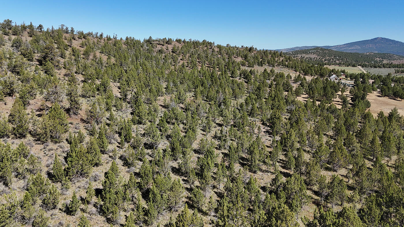 Riverside Ranch - Land