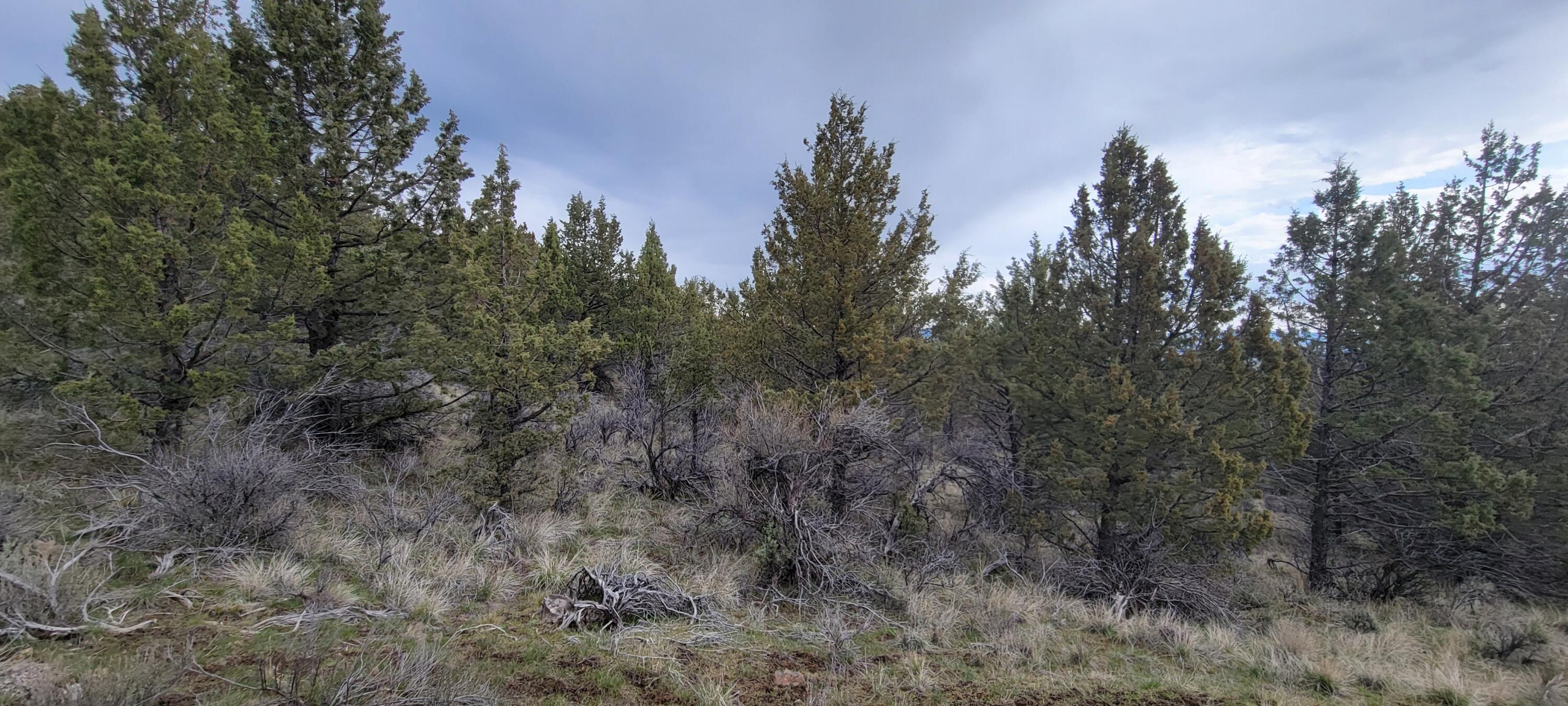 Riverside Ranch - Land