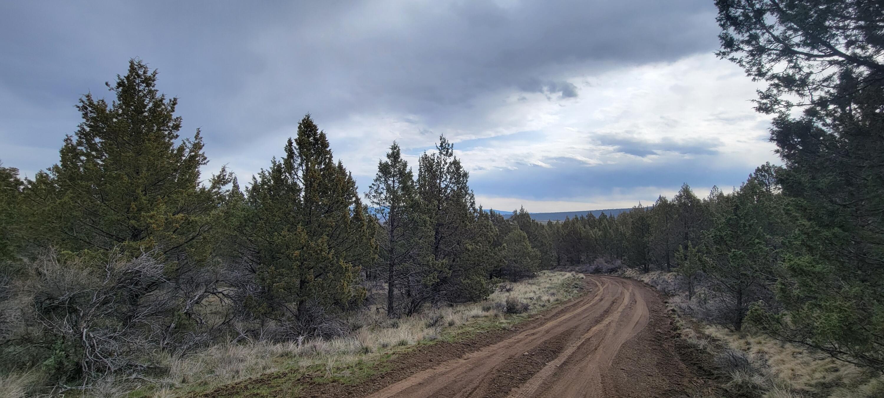 Riverside Ranch - Land