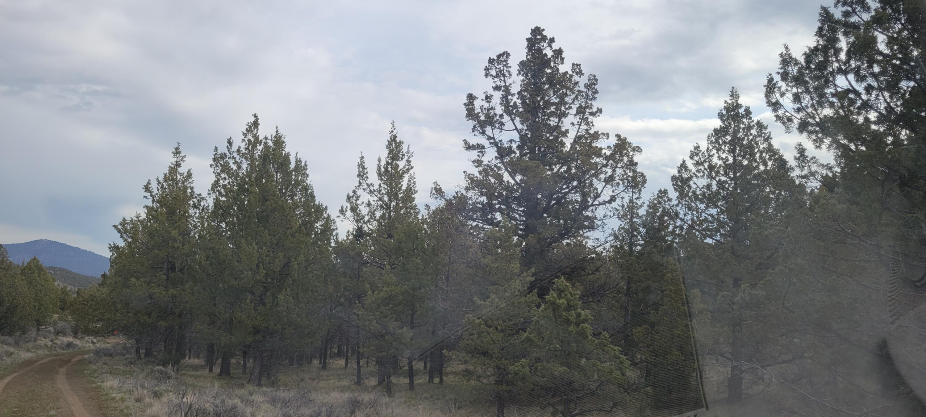 Riverside Ranch - Land