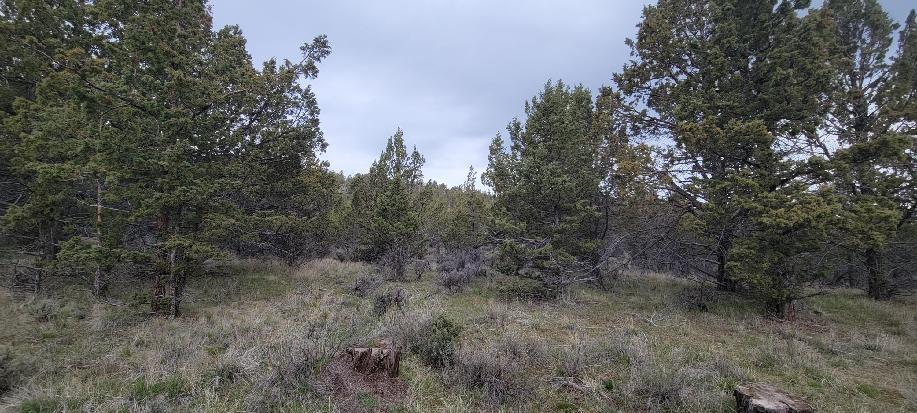 Riverside Ranch - Land