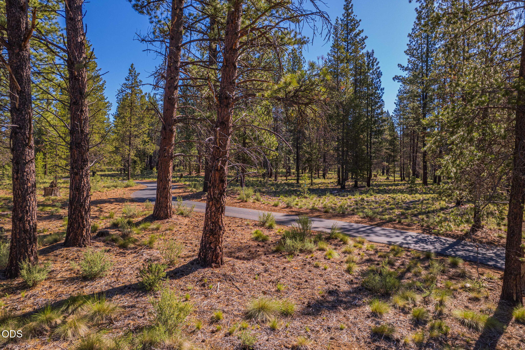 56319 Mirror Rock Loop 337