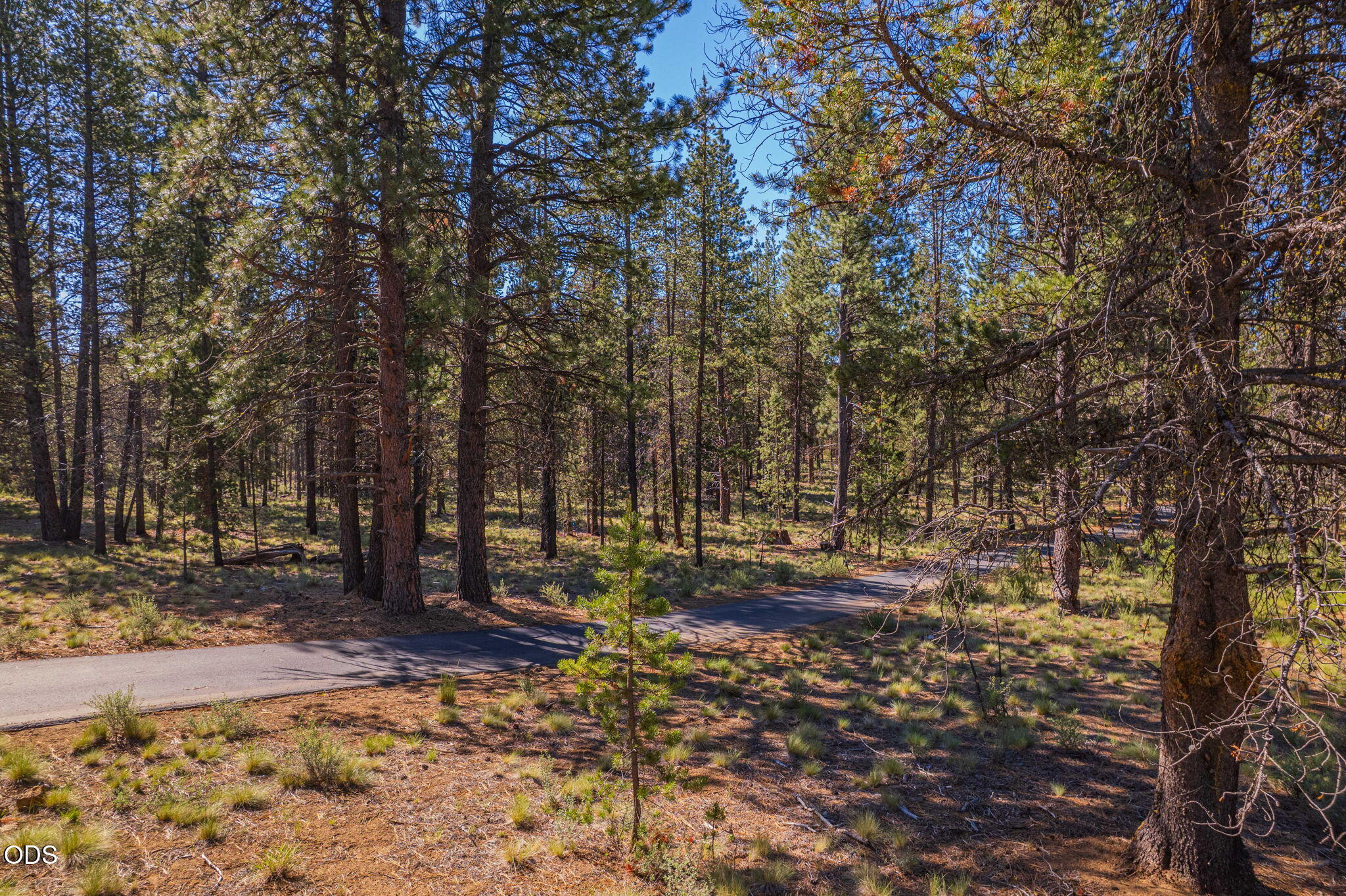 56319 Mirror Rock Loop 337