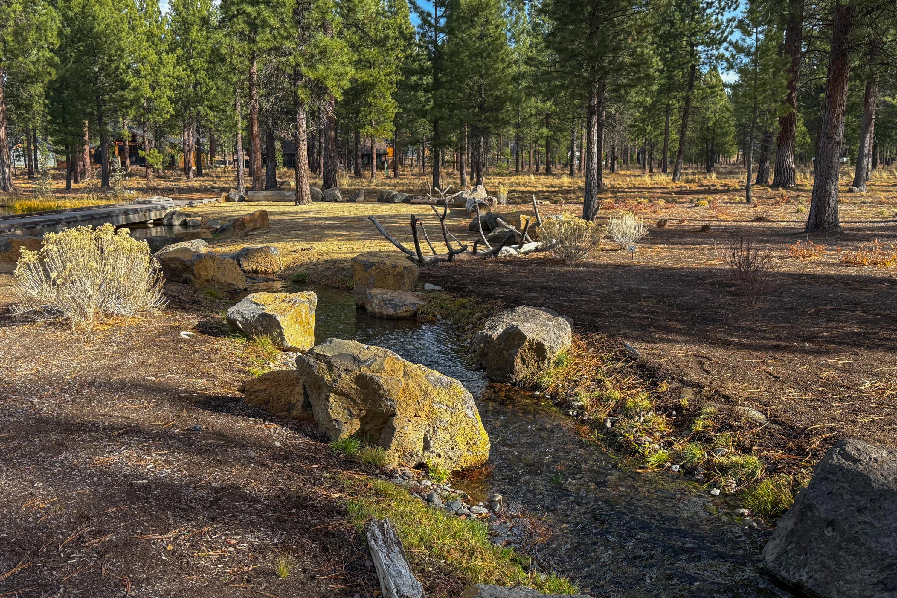 56319 Mirror Rock Loop 337
