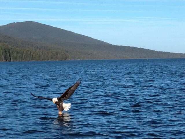 Diamond Peaks - Land