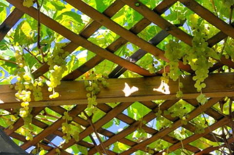 Tiny photo for 11173 SW Yates Court, Powell Butte, OR 97753 (MLS # 220214067)