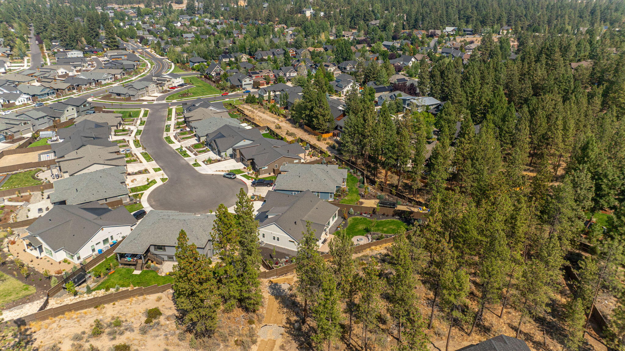 Treeline Phase 2 and 3 - Residential