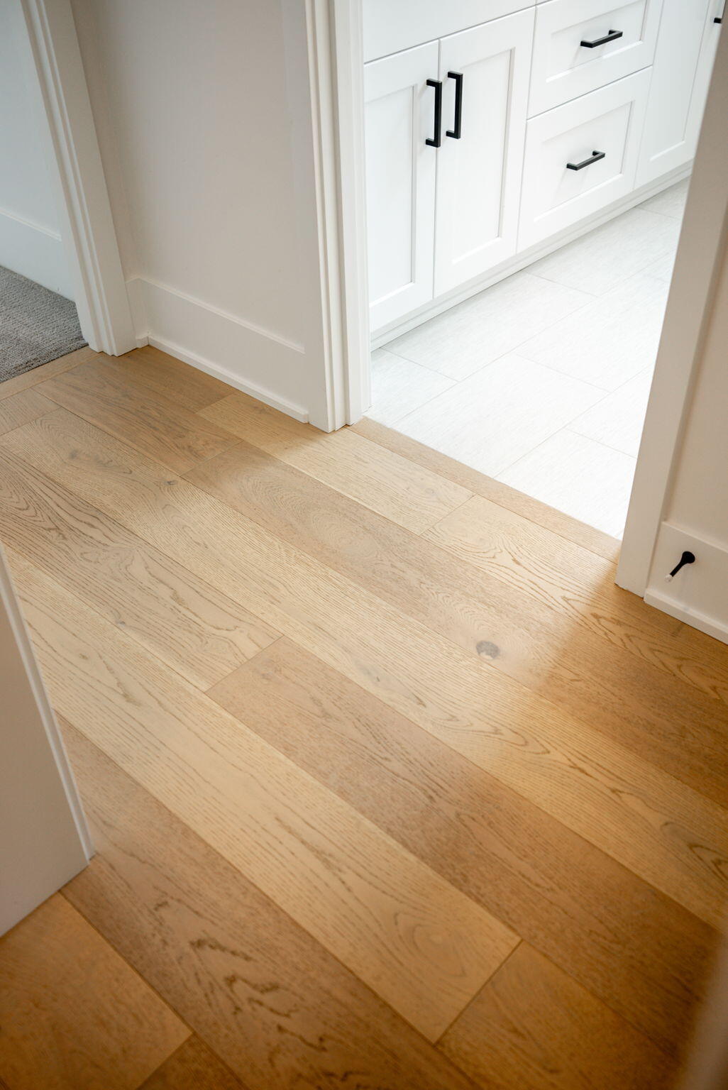 Treeline Phase 2 and 3 - Residential