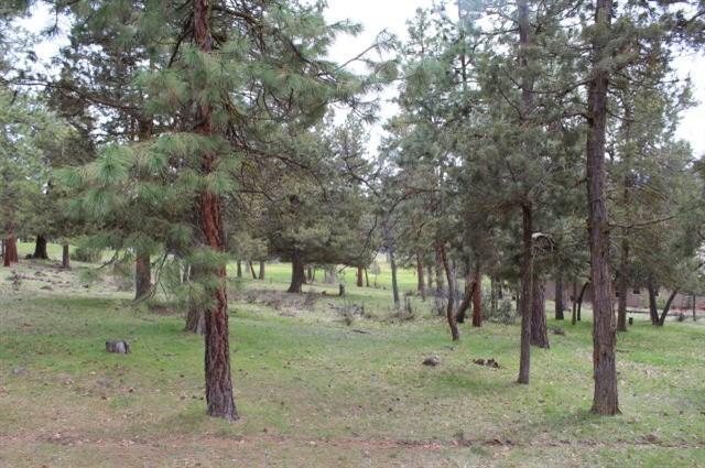 Running YResort - Land