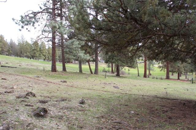 Running YResort - Land