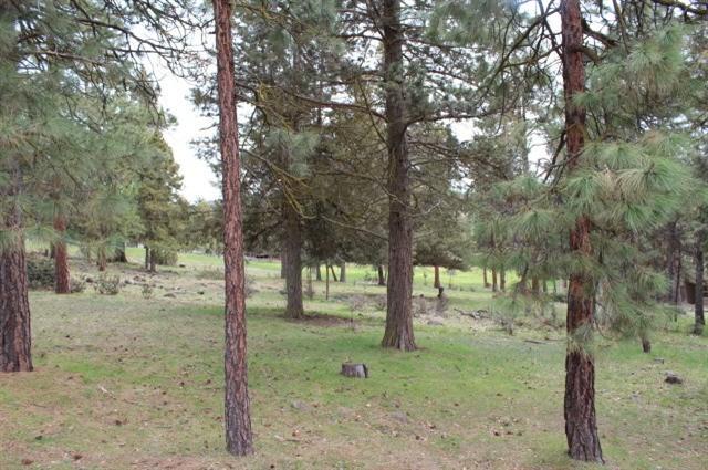 Running YResort - Land