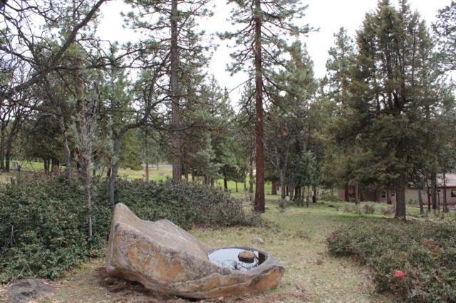 Running YResort - Land