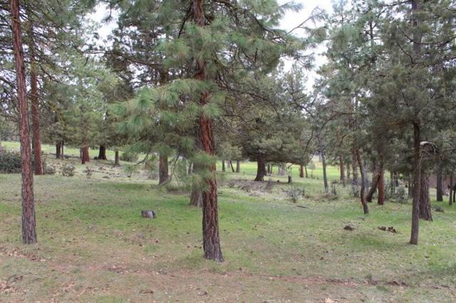 Running YResort - Land