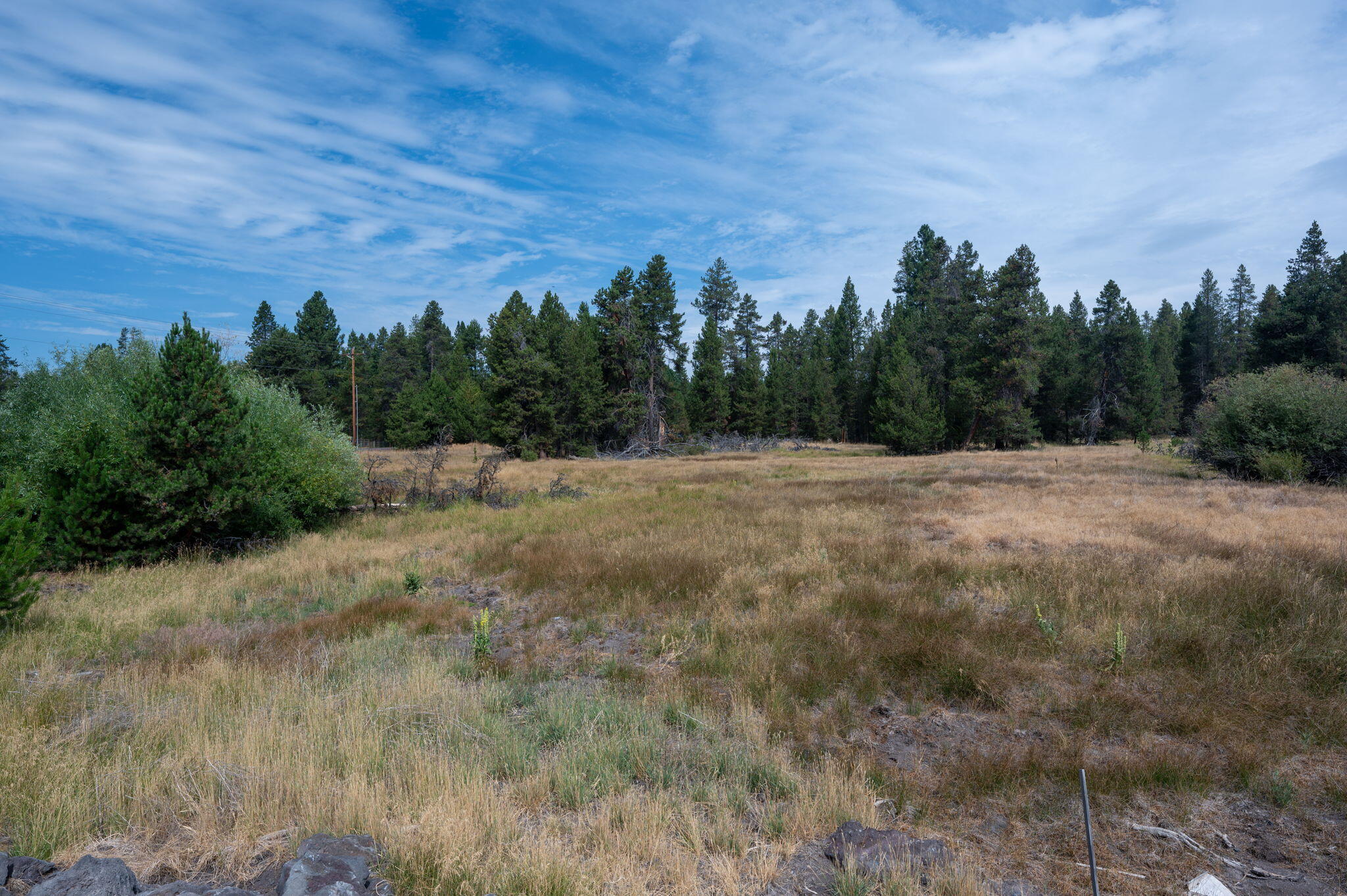 51590 Dorrance Meadow Road